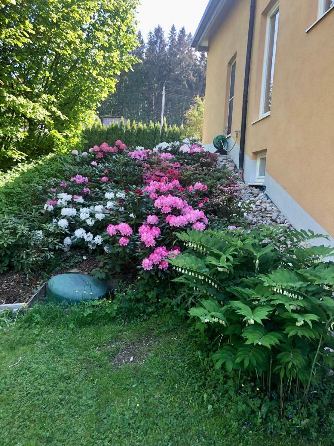 Appartamento Am Wildbach Bei Passau Saming Esterno foto