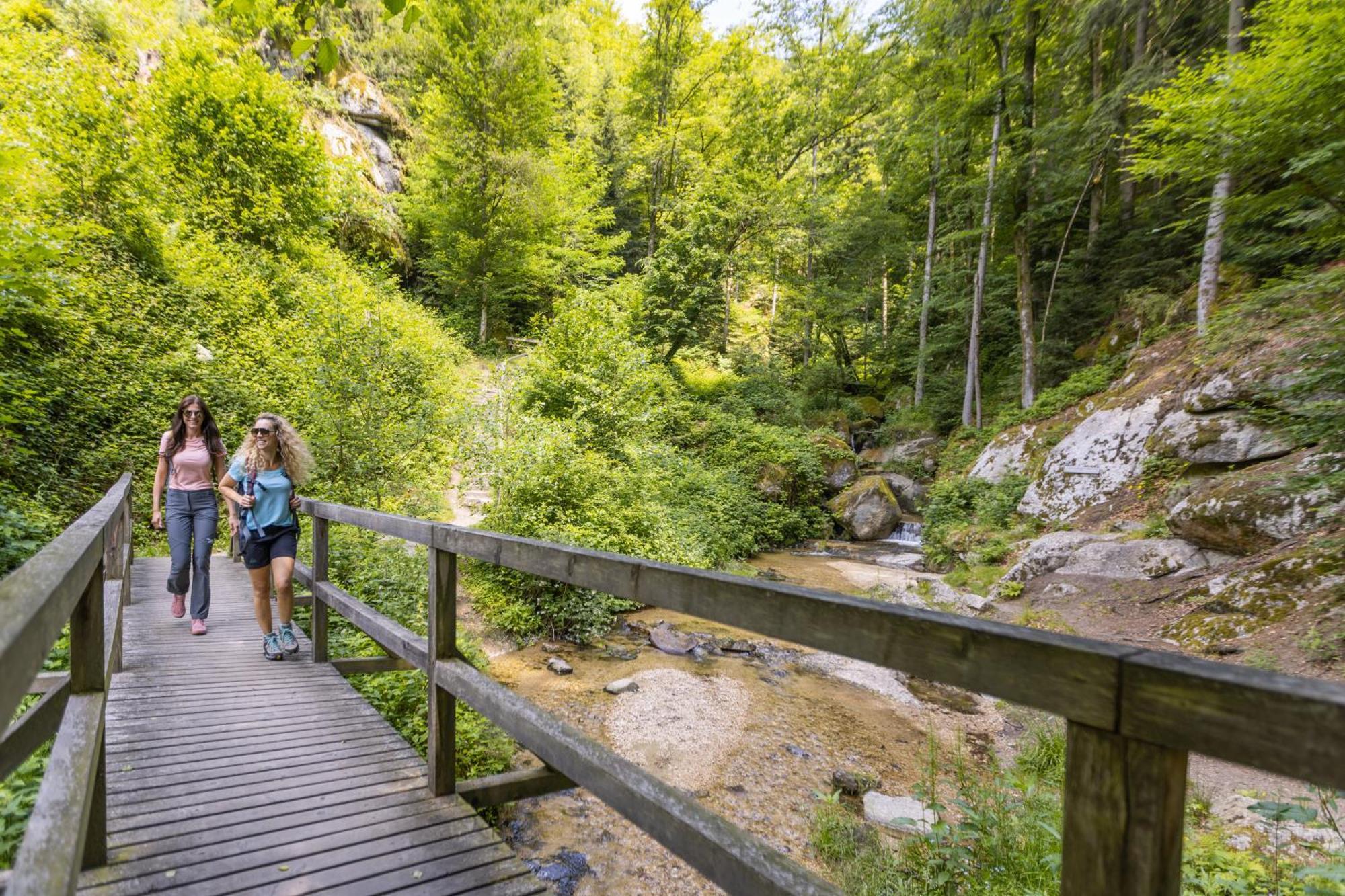 Appartamento Am Wildbach Bei Passau Saming Esterno foto